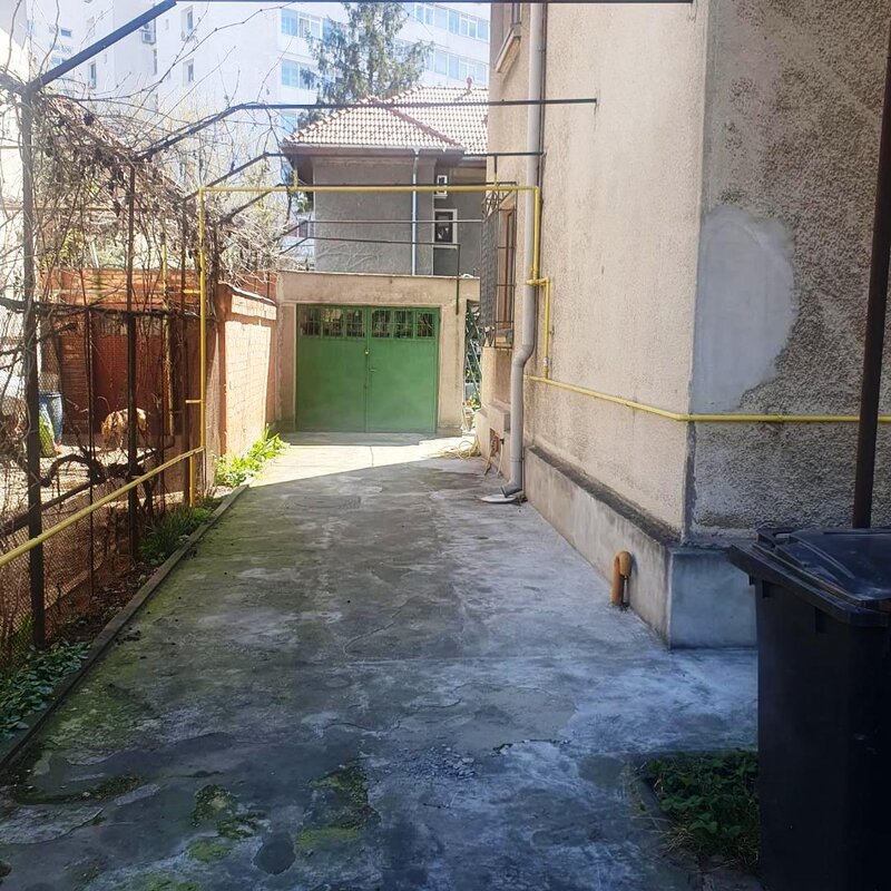 Decebal -Dristorului