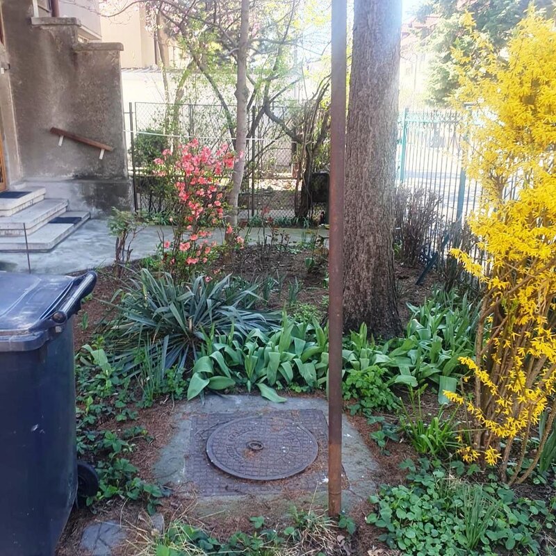 Decebal -Dristorului